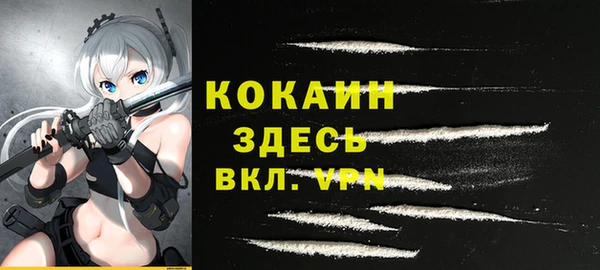 индика Володарск