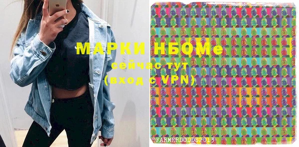 индика Володарск