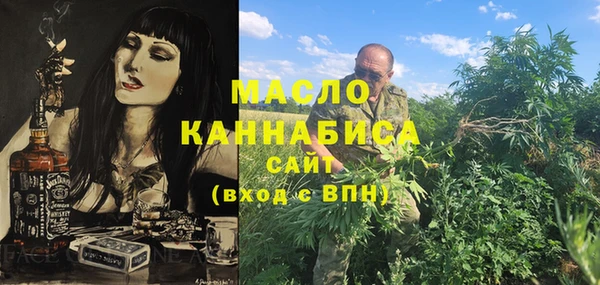 индика Володарск