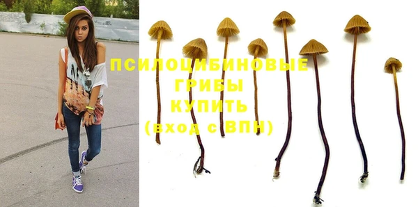 прущие грибы Сосновоборск