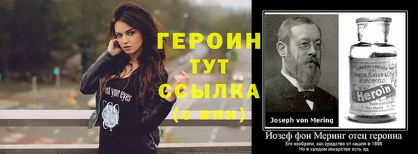 индика Володарск