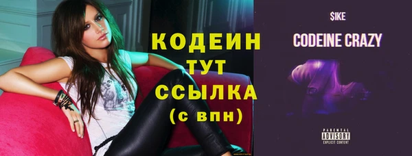 индика Володарск