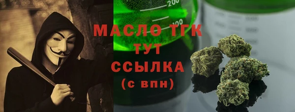 индика Володарск