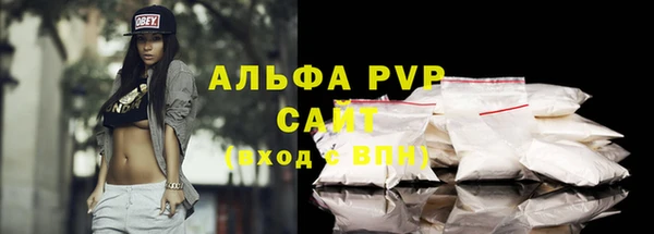 индика Володарск