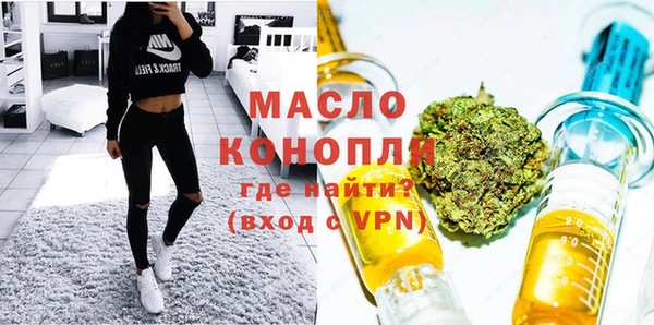 индика Володарск
