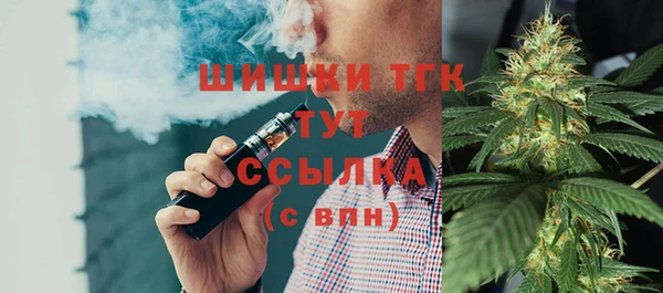 прущие грибы Сосновоборск