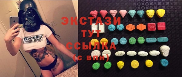 индика Володарск