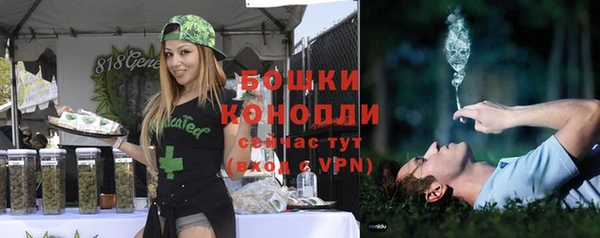 индика Володарск