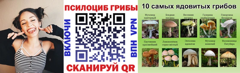 даркнет состав  Назарово  Псилоцибиновые грибы Psilocybine cubensis  купить закладку 