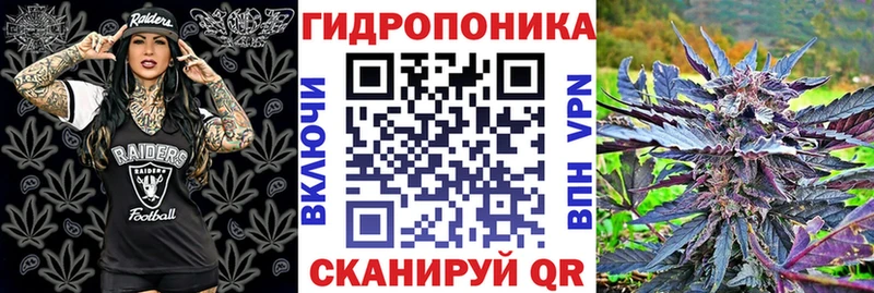 площадка клад  Назарово  Бошки марихуана ГИДРОПОН 